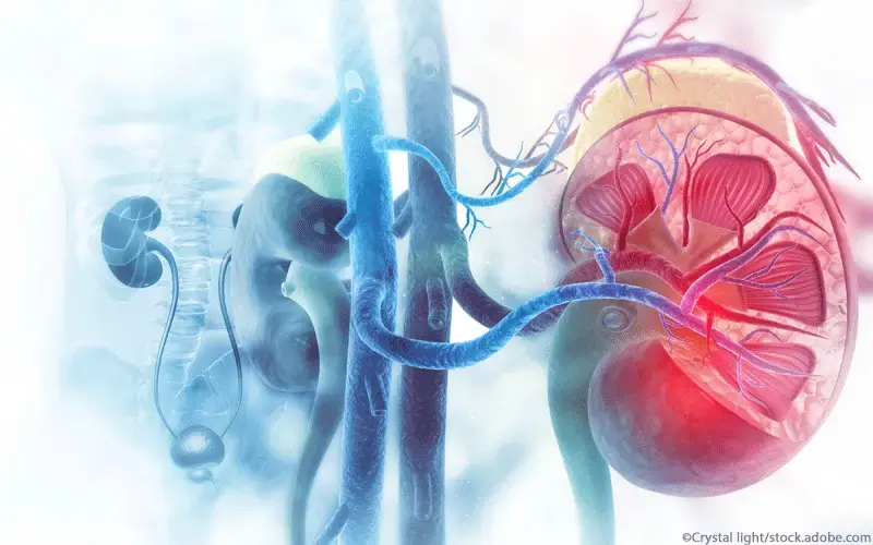 Wie kommt es zu Nierenstau?